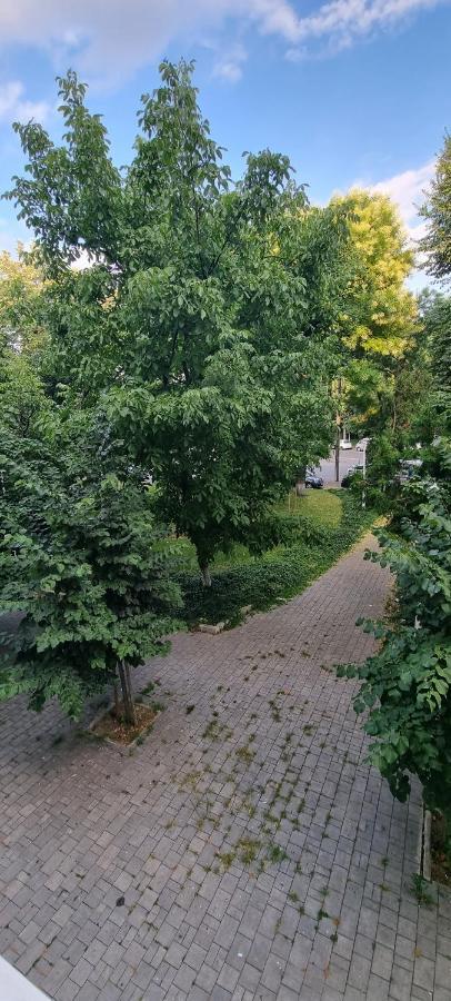 Apartament Loft Ferdinand Bukareszt Zewnętrze zdjęcie